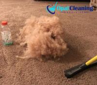 Opal carpet cleaning Adelaide image 2